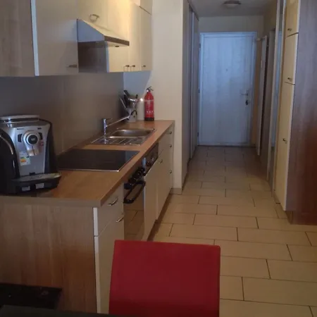 Apartment Rothornblick *